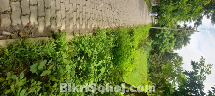 cont.01610386131 ১০ কড়া/৩৩শতাংশ জমি বিক্রি হবে, পায়রা,কুয়াকা